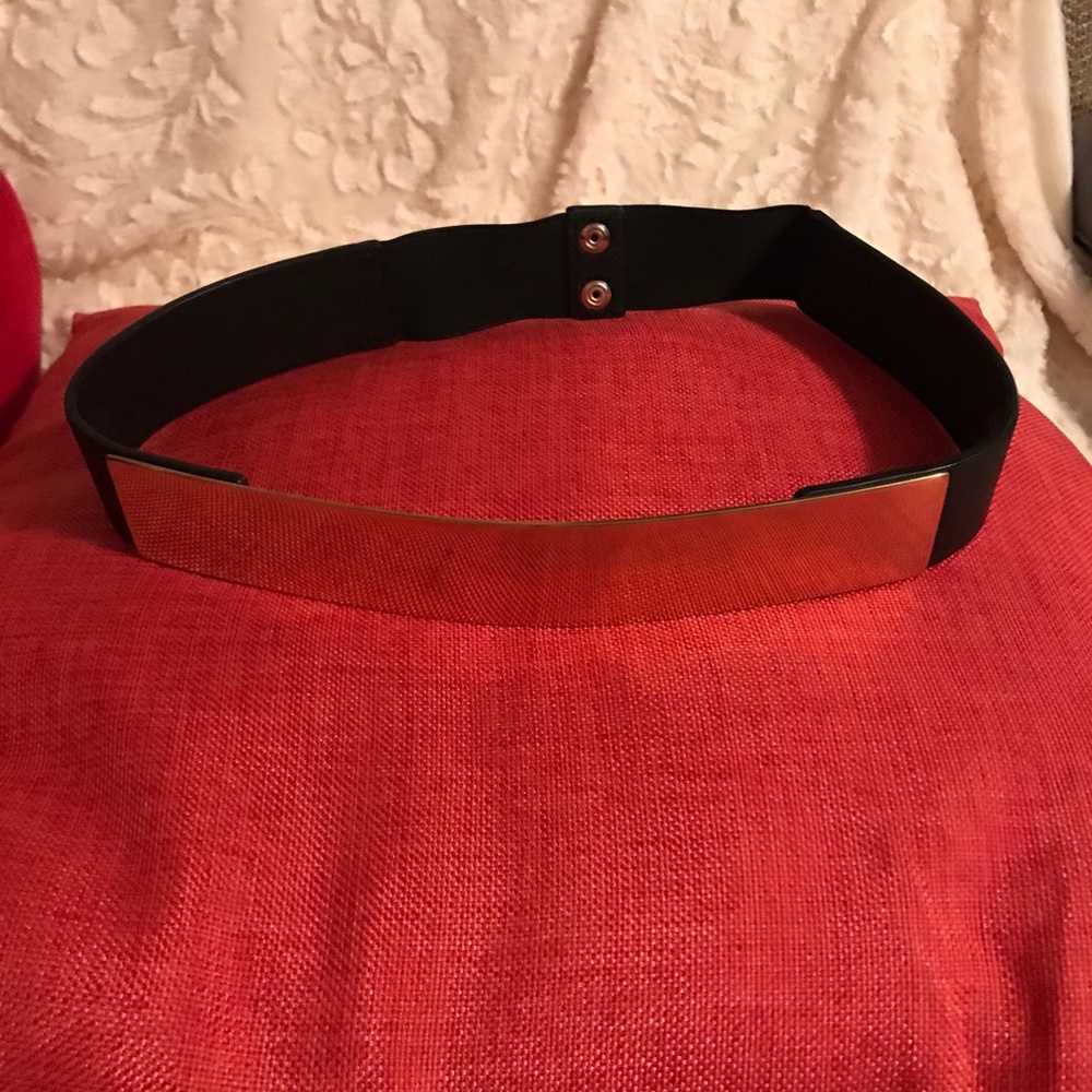 Gold Plate Belt